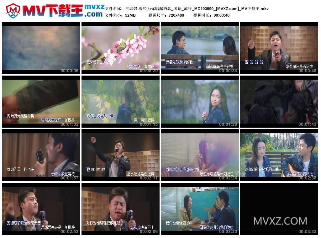 王志强-曾经为你唱起的歌_国语_流行_MD103990